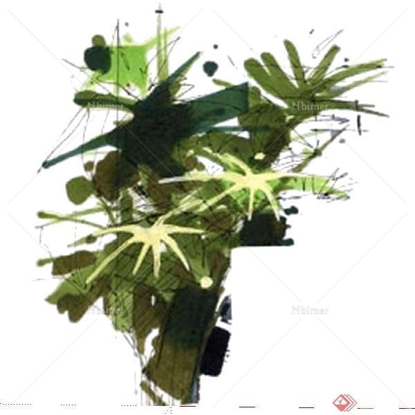 设计素材之景观植物手绘植物设计方案su模型