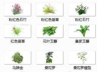 植物单体集合SU素材