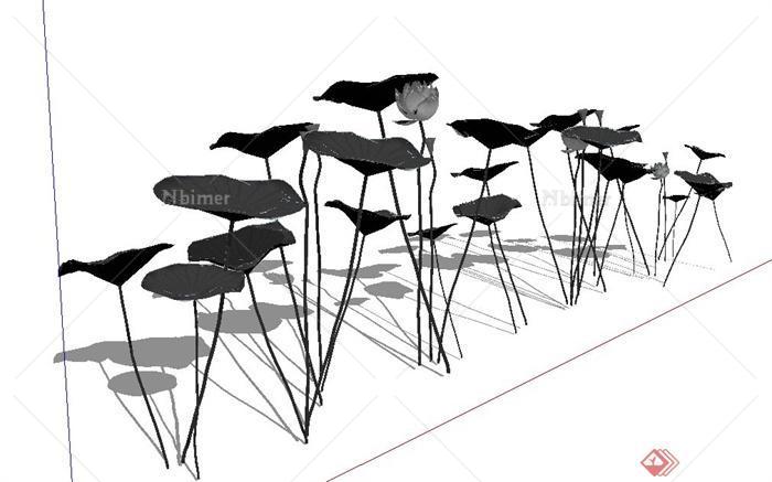 水生植物荷花丛设计SU模型