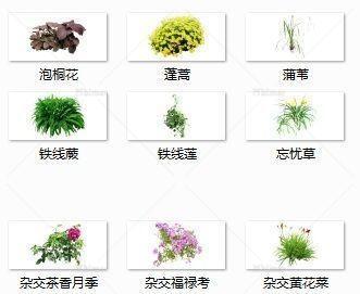 植物单体集合SU模型