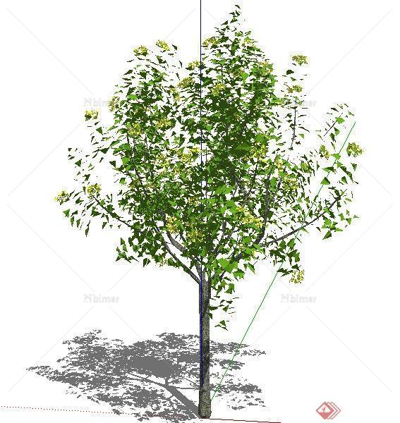 精细小绿树植物素材SU模型[原创]