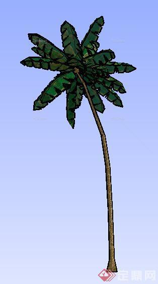 设计素材之椰树景观植物乔木设计素材su模型50
