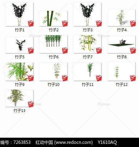 竹类植物SU模型