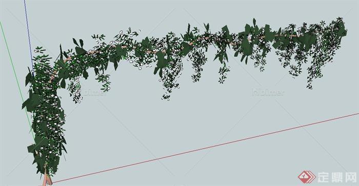 园林景观藤蔓植物设计SU模型
