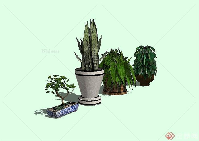四种不同的植物景观盆栽设计su模型[原创]