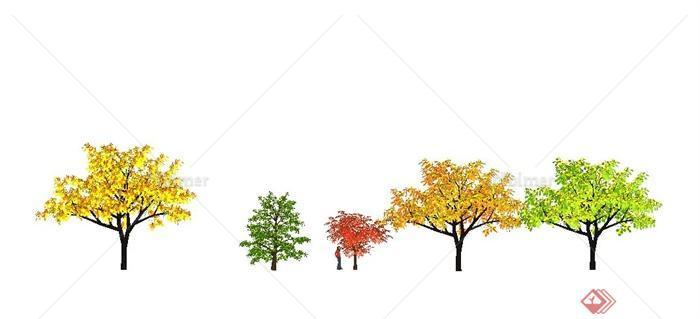 5棵经典树木植物素材SU模型[原创]