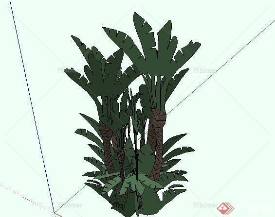 东南亚风格椰子树植物SketchUp(SU)3D模型