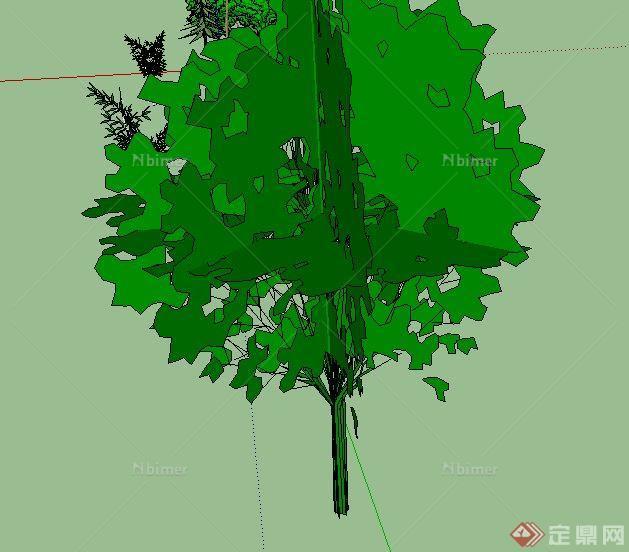 一些园林景观树木SU模型素材