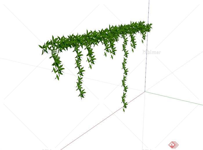 某植物藤蔓及垂直植物设计SU模型[原创]