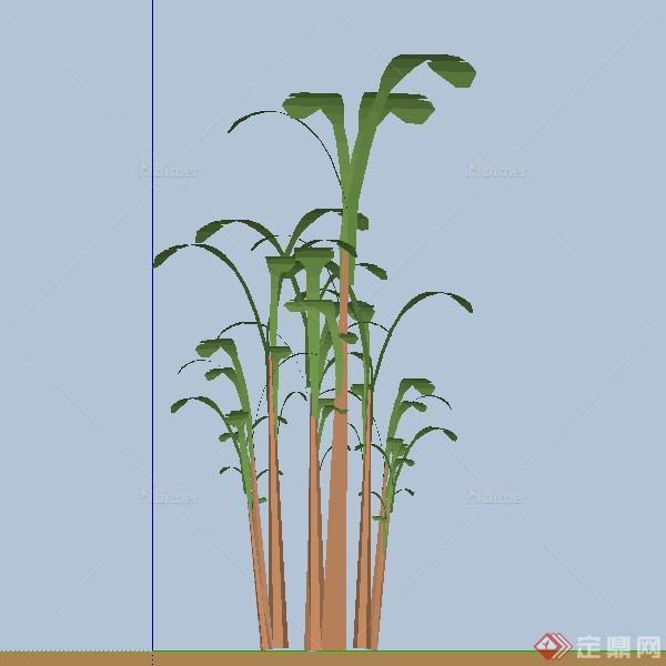 设计素材之景观植物香蕉树设计方案su模型