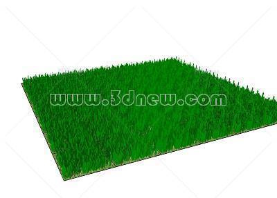 sketchup草坪模型