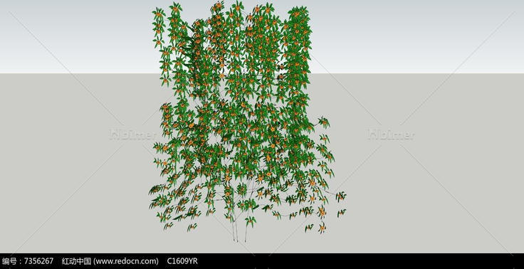 黑眼苏珊植物藤类SU模型