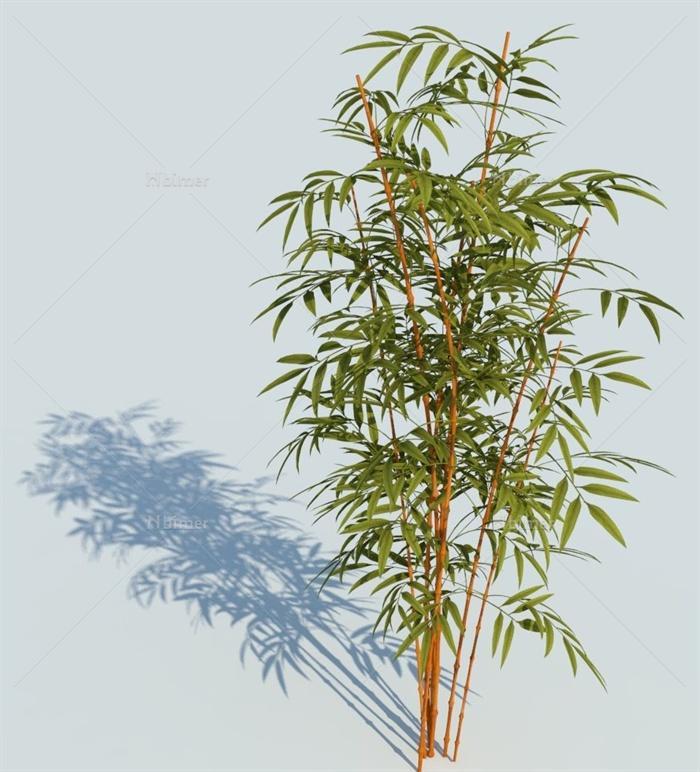 五颗三维的代理植物SU模型设计