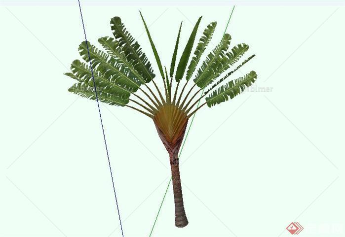 东南亚热带树种SketchUp(SU)3D模型
