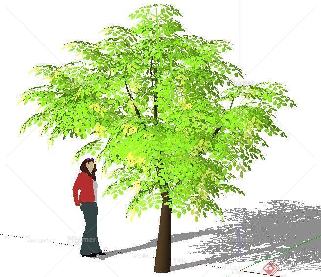 精细3D树木植物素材SU模型[原创]