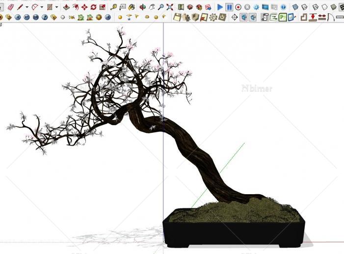NEW!-分享精致盆景造型SketchUp模型下载分享带截