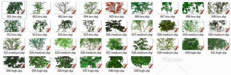 给大家分享下我收集的3D树木SketchUp模型