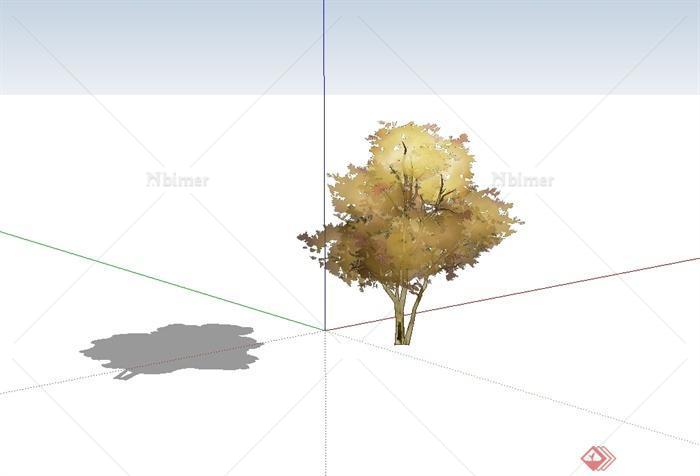 某简单的手绘单棵树木植物设计su素材模型[原创]