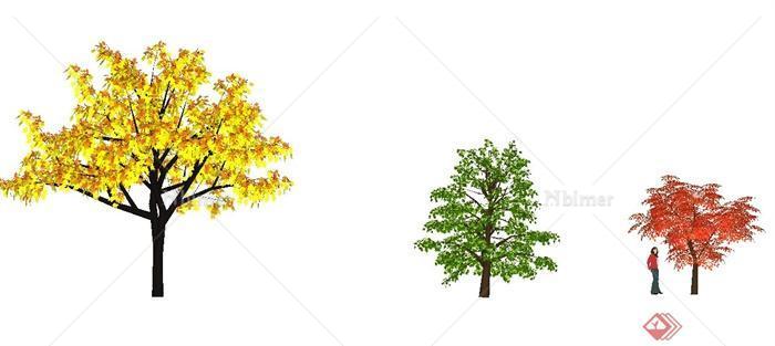 5棵经典树木植物素材SU模型[原创]