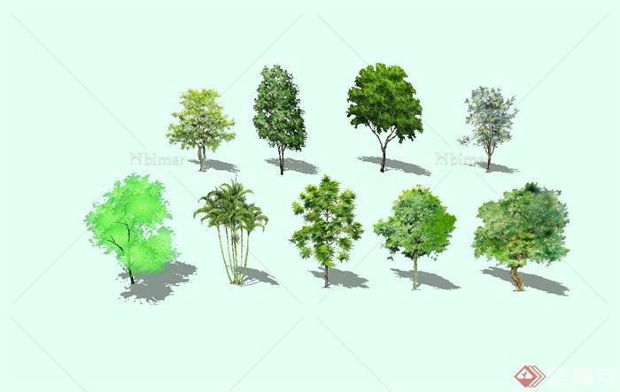 九种不同的手绘景观树木设计SU模型[原创]