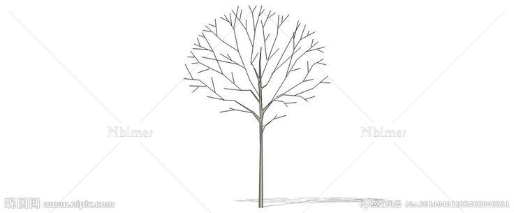 线条树图片