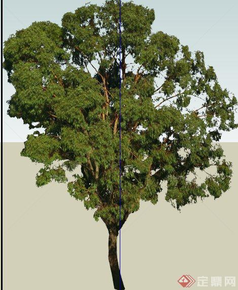 65种树木植物素材su模型