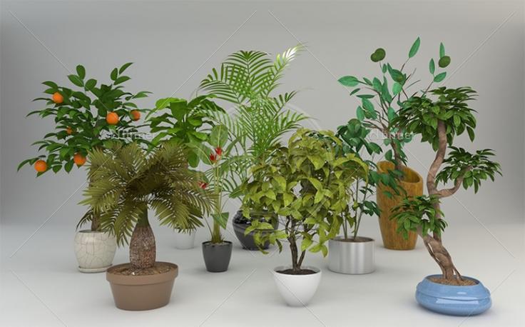 室内精美植物摆设组件(带VR材质) 买的，这个分享