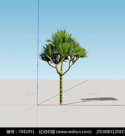 sketchup模型树乔木