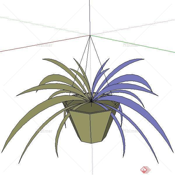 一棵悬挂盆栽景观植物的设计SU模型