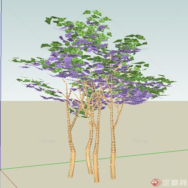 一棵紫薇的景观植物设计SU模型