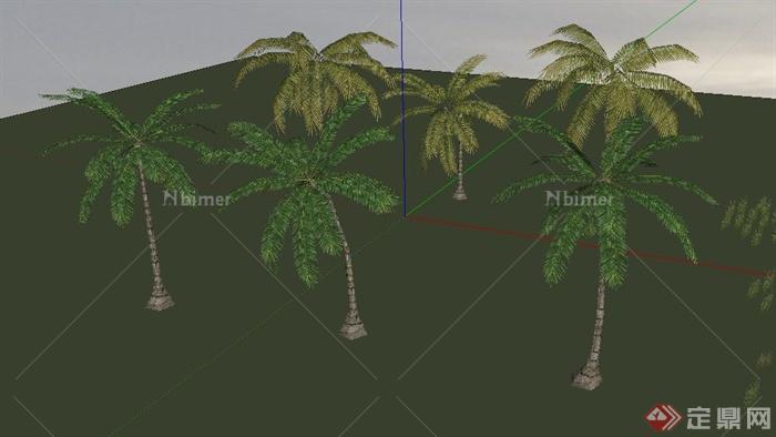6棵棕榈类椰子树su模型[原创]