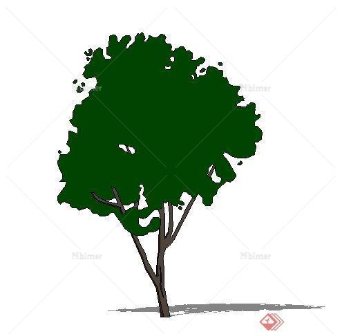 一株2D景观树木SU模型素材