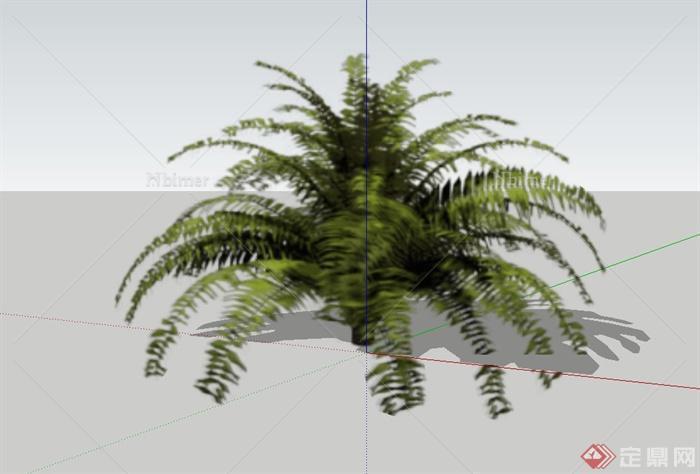 10种芭蕉棕榈热带植物设计SU模型[原创]
