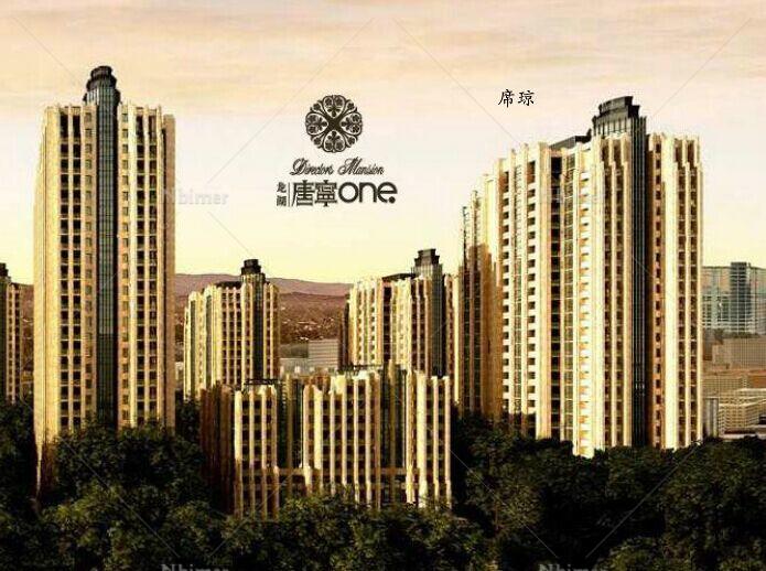 北京 龙湖 龙湖唐宁ONE 1梯2户 33层 户型 东西向